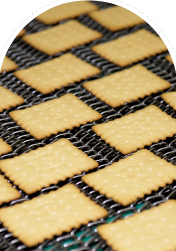 Journey of Taste image